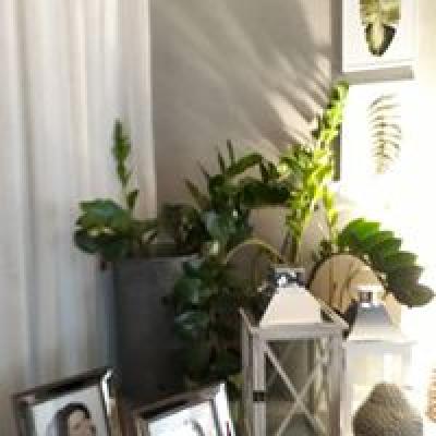 41176061 1831425910237805 3282849898986209280 N